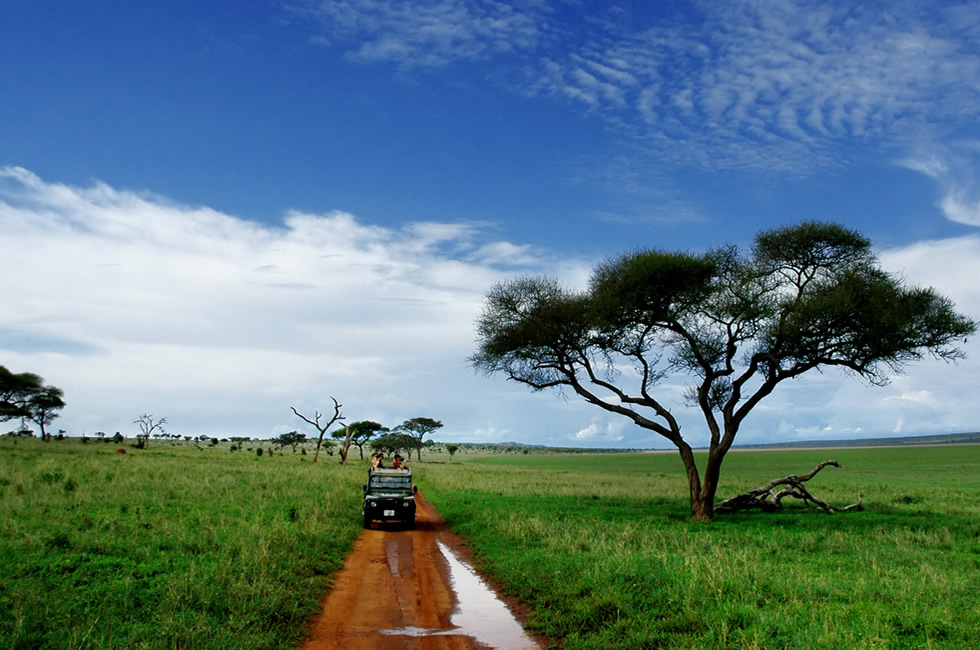 Guide to Self Drive in Tanzania